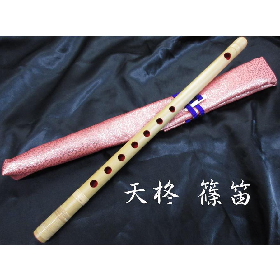 篠笛 8菅 ケース付き 楽天市場】プラスチック篠笛 童子 初心者用篠笛