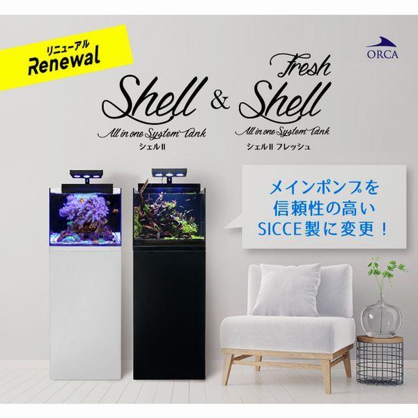 レッドシー 送料無料（北海道・沖縄除く） シェル2 フレッシュ