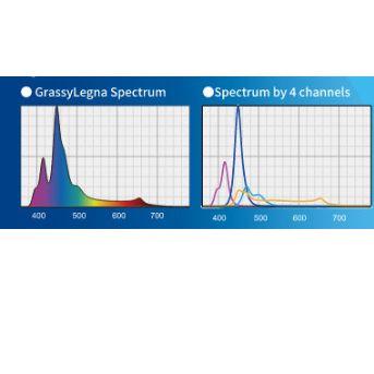 ボルクス グラッシーレグナマリン 90 GrassyLegna Marine90 90cm海水