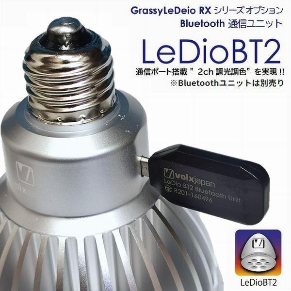 海水魚用品 GrassyLeDioRX121s RFB 海水魚用品 GrassyLeDioRX121s RFB