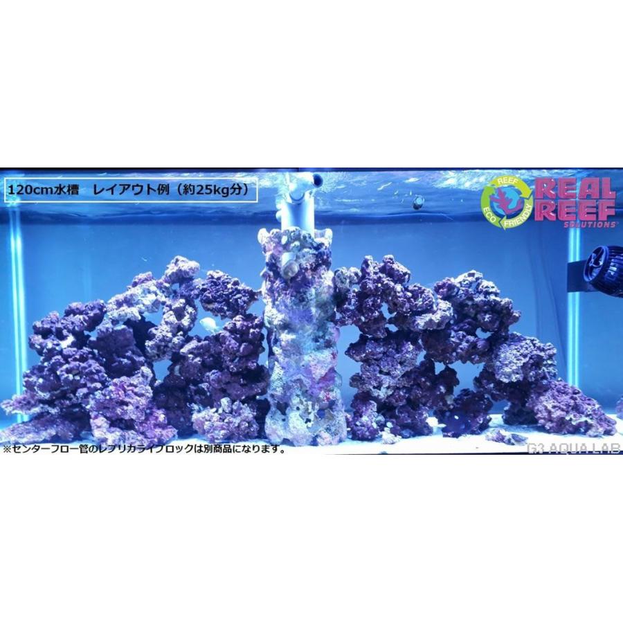 ✐プラグ穴付き 新品 人工ライブロック 60cm海水水槽用 レプリカ 安い1