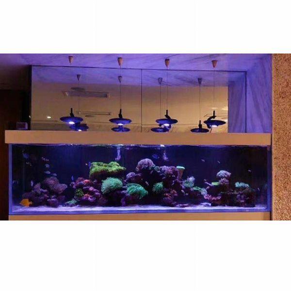 ZOOXレブロン60 サンゴ用海水用