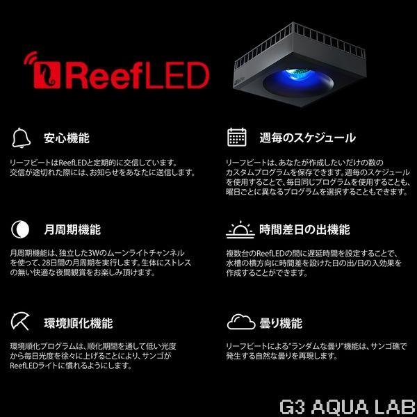 レッドシー リーフLED ReefLED90 ハンギングキットセット : G3 AQUA