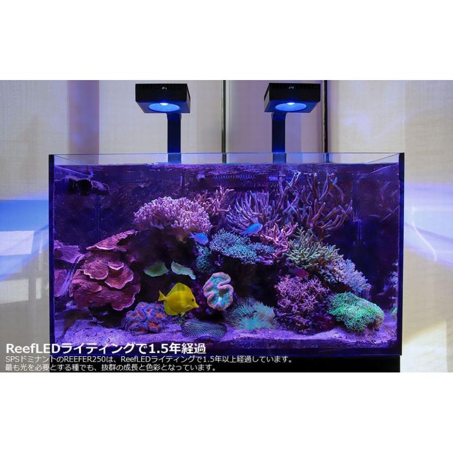 レッドシー リーフLED ReefLED90 : G3 AQUA LAB ヤフーショップ - 通販