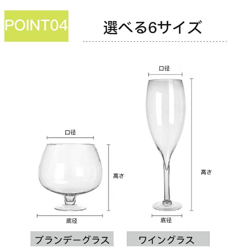 特大ワイングラス グラス ジャンボ ブランデーグラス シャンパングラス