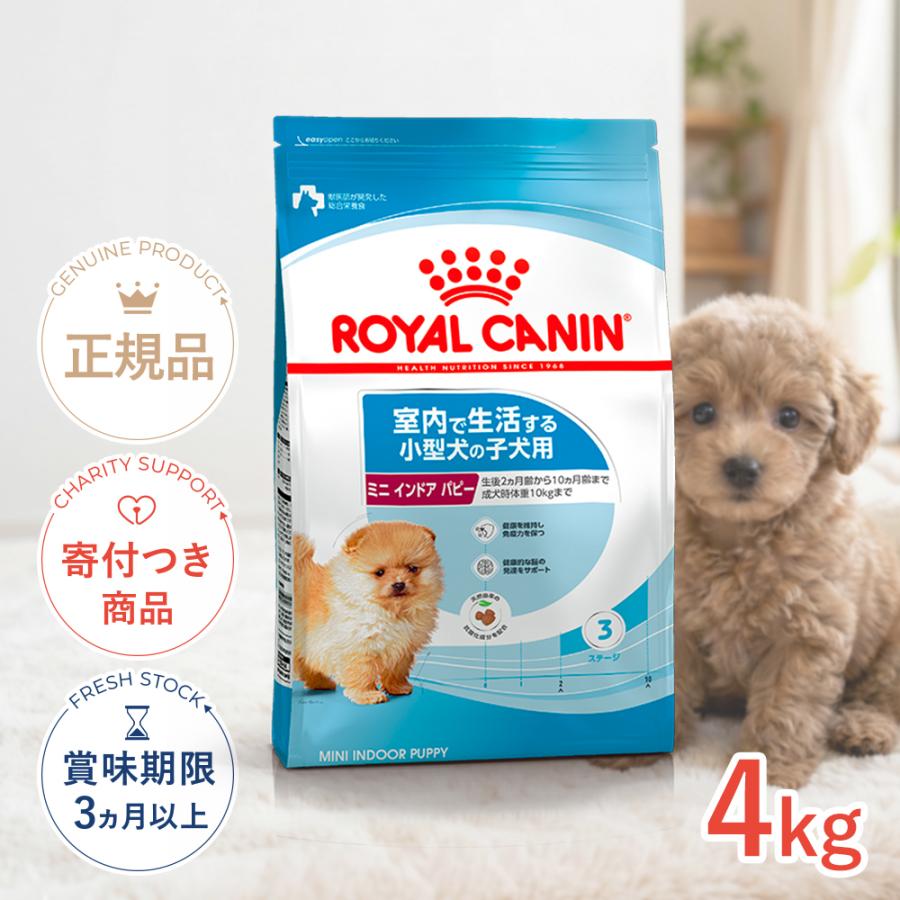 ロイヤルカナン】ミニインドアアダルト 10kg 【公式通販】 最安値