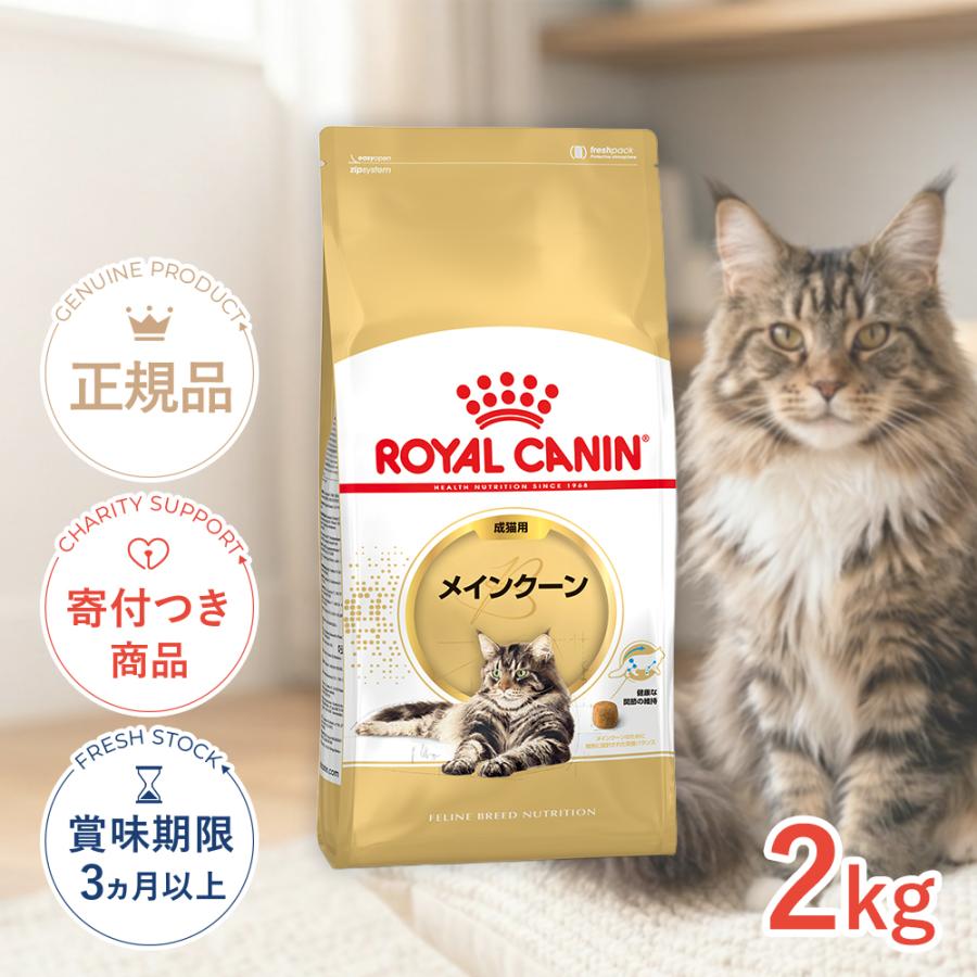 ロイヤルカナン（ROYAL CANIN） メインクーン 成猫用 2kg / メイン