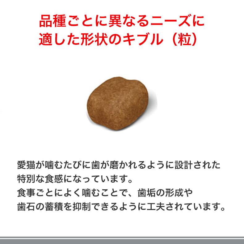 ロイヤルカナン（ROYAL CANIN） デンタル ケア 1.5kg / 歯垢・歯石が気