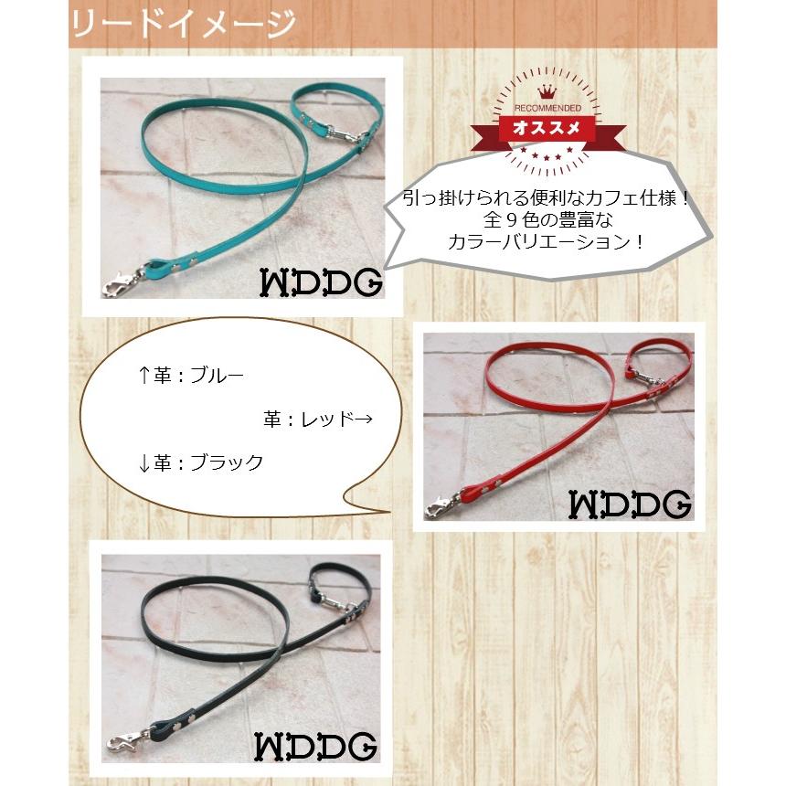 犬 革 首輪 リードセット 名前入り 本革 カラフル カフェリード リード