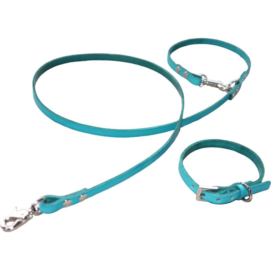 犬 革 首輪 リードセット 名前入り 本革 カラフル カフェリード リード