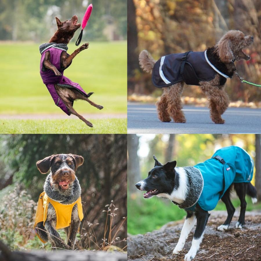 フィンランドのドッグブランド【Pomppa】【ポムッパ】・ドッグコート