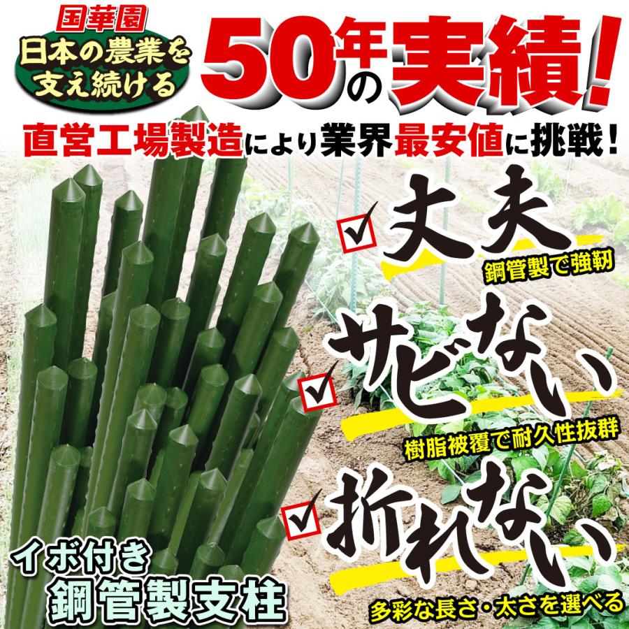 園芸 支柱 Φ11mm×150cm 50本 イボ付き鋼管製 個人宅OK イボ支柱 内