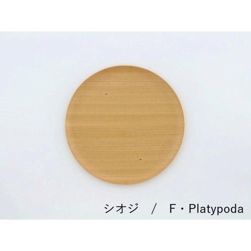 木製盆(大型) 直径約45cm Gold Craft MFG 食洗器対応 GOLDCRAFT トレイ NPT