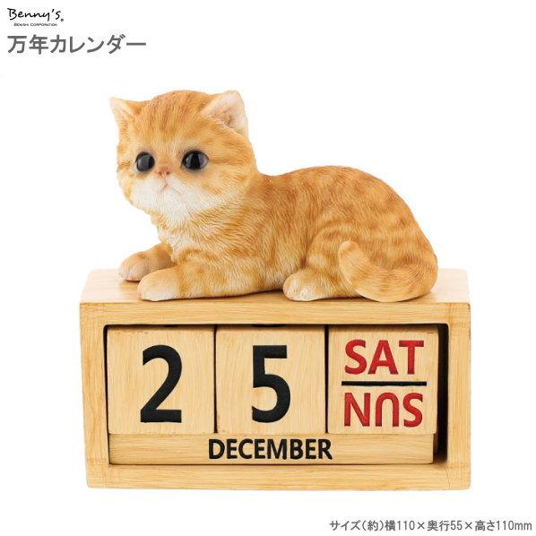 カレンダー 卓上 万年カレンダー ねこ かわいい リアル 可愛い 猫 ネコ