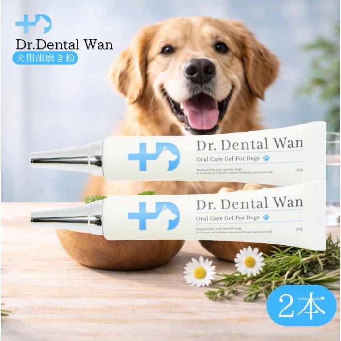 ドクターデンタルワン 30g 犬 歯磨き 2本 ジェル 口 わんちゃん ペット