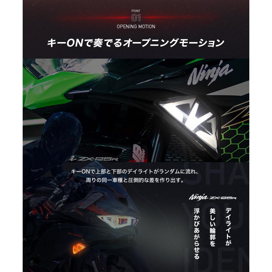 Kaedear（カエディア） CyberLED(サイバーLED) ウィンカー カスタム