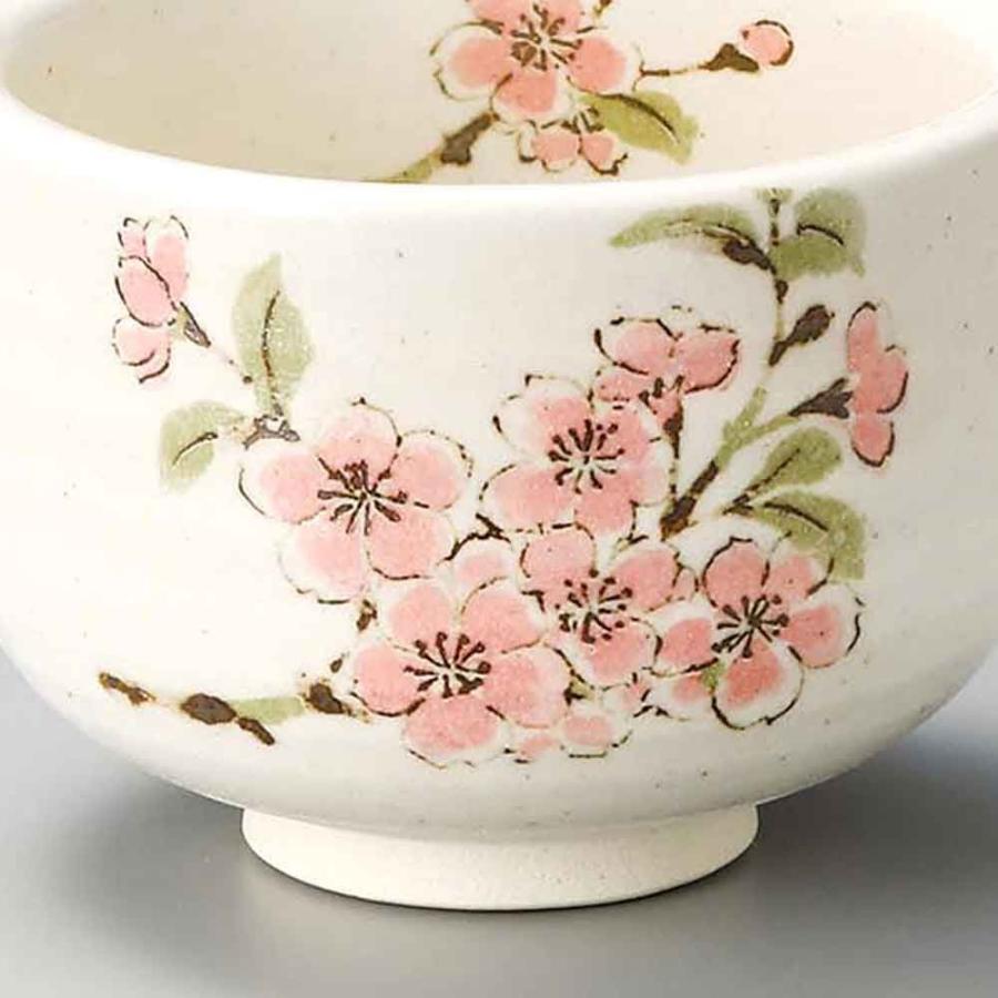 茶道 茶碗 抹茶碗 丸好春 山野点抹茶碗 美濃焼 日本製 花柄 : 華成屋