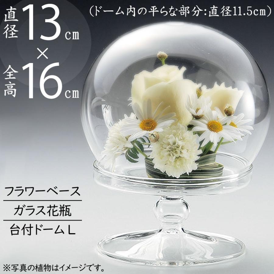 ドームガラス おしゃれ フラワーベース 人気 おすすめ ガラスドーム