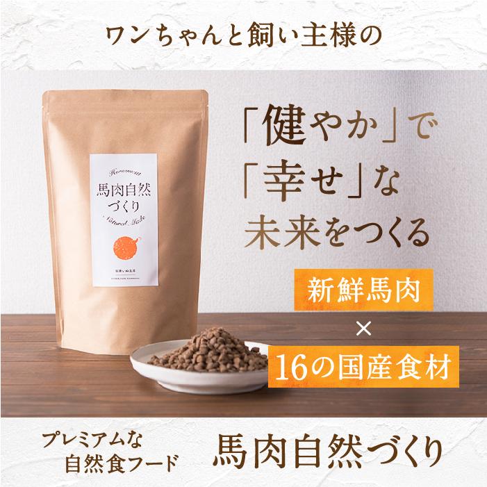 健康いぬ生活 ドックフード 無添加 国産 小粒 馬肉自然づくり 3kg