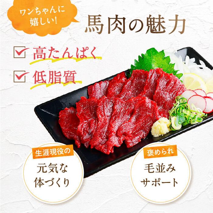 健康いぬ生活 ドックフード 無添加 国産 小粒 馬肉自然づくり 3kg