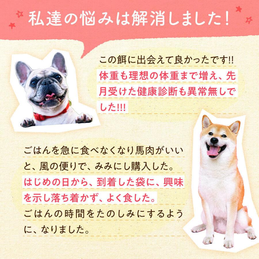 健康いぬ生活 ドックフード 無添加 国産 馬肉自然づくりプレミアム