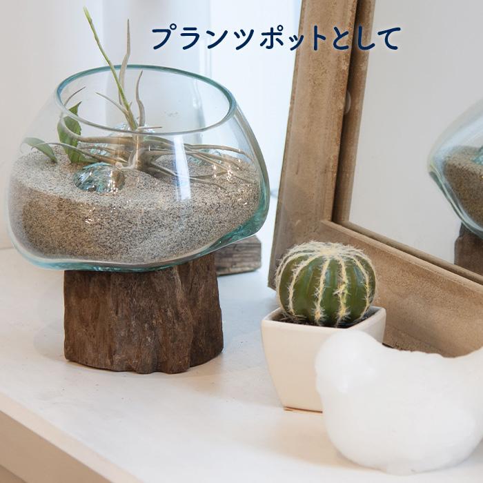 ガラス オブジェ TTZ-311 クリア インテリア 木 流木 雑貨