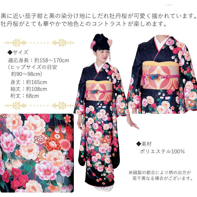 H.L（アッシュ・エル） 振袖3点セット 黒地しだれ牡丹桜 振袖 袋帯