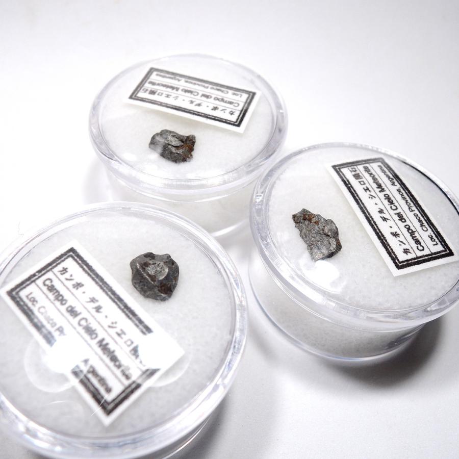 カンポ・デル・シエロ隕石 カンポデルシエロ隕石 1個 ランダム 隕石