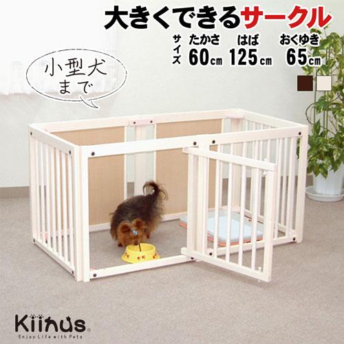 Kiinus（キーヌス） [ペットサークル60S] 小型犬用 サークル 多頭飼い