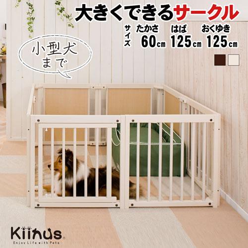 Kiinus（キーヌス） [ペットサークル60XL] 小型犬用 サークル 多頭飼い