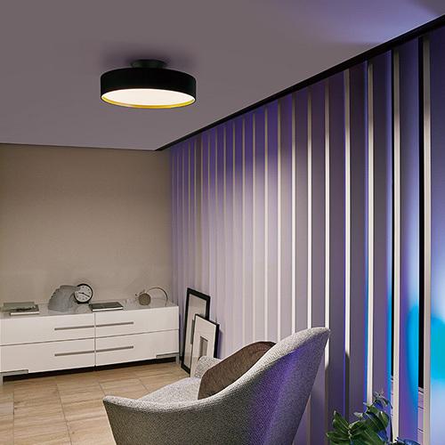 シーリングライト 12畳 アートワークスタジオ グロー 5000 LED