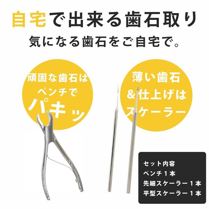 帝塚山ハウンドカム 愛犬・愛猫用歯石取りペンチとスケーラーセット