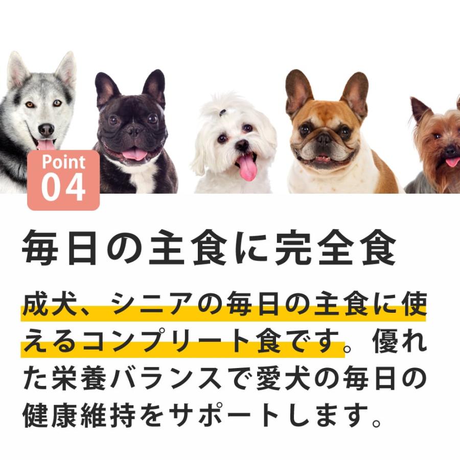 爆買 テラカニス ネイチャーハウンド 400g×6缶セット 選べる3つの味