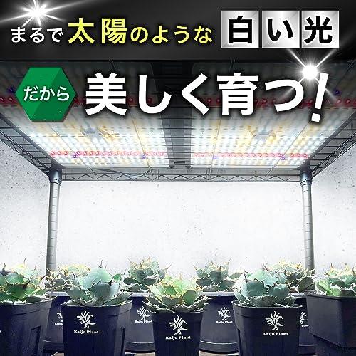 Kaiju Plant 植物育成ライト 怪獣フレア まるで太陽のような パネルLED