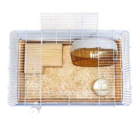 三晃商会 シャトルマルチ R70ハリネズミ飼育セット 6点【一度のご注文