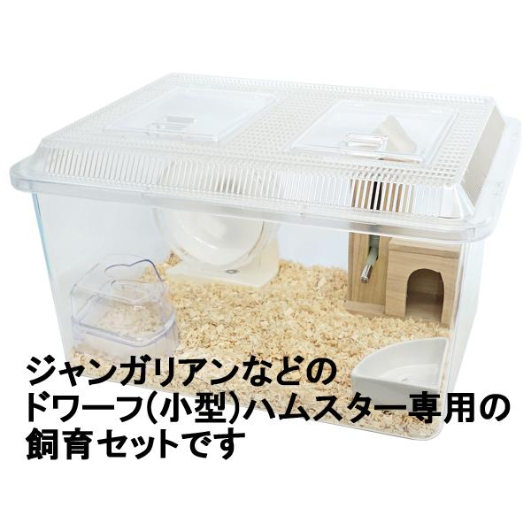 ジャンガリアンハムスター飼育セット/飼育ケース ハムスターケージ