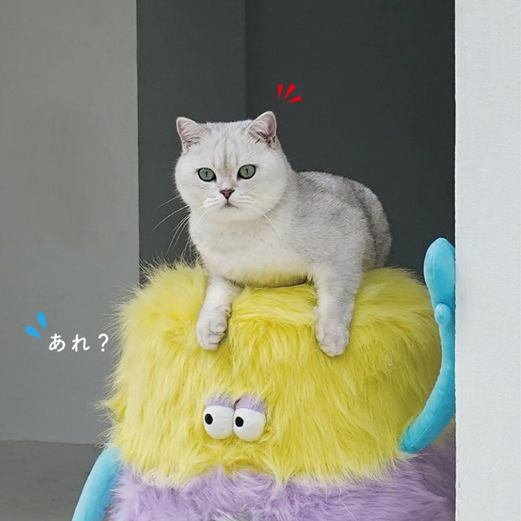 パープル猫様 パープル猫 パープル猫 パープル猫 パープル猫様 楽天