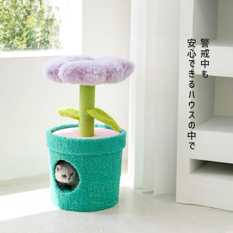 猫ハウス キャットタワー 爪とぎ / zeze POT PET HOUSE PURPLE 花