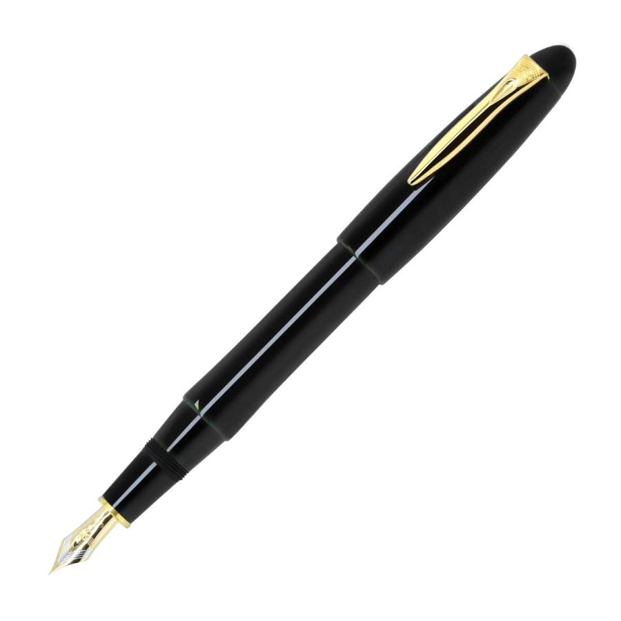 万年筆10本セット】パイロット、プラチナ、TWSBI、MOONMAN バラ売可