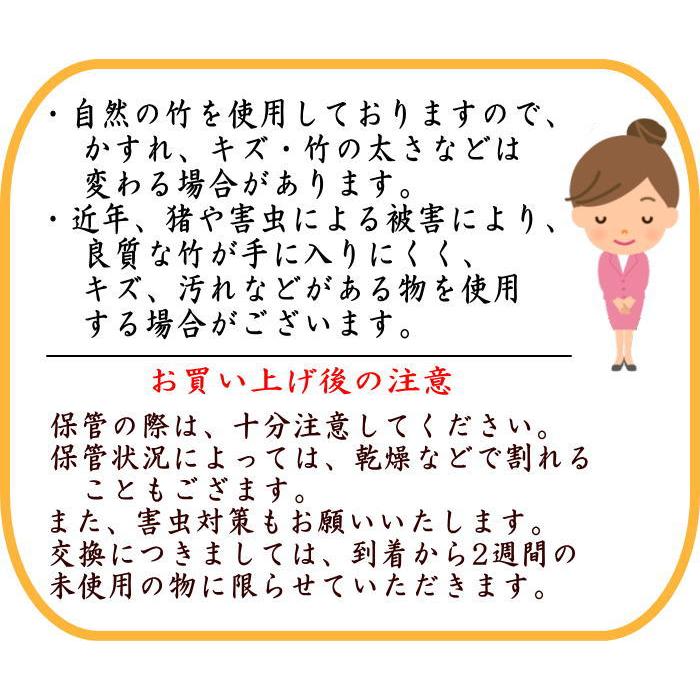 茶道具 銘付茶杓 染竹 銘 青山 福本積應筆 影林宗篤作 茶道 : 茶道具