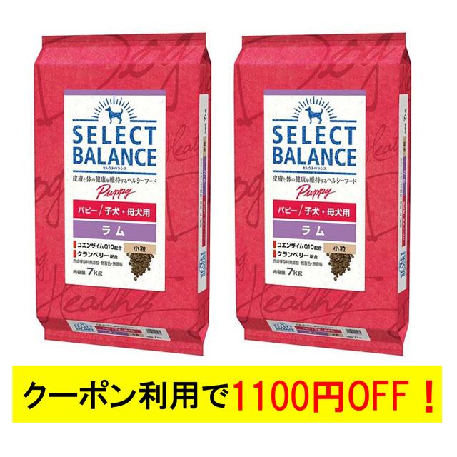 SELECT BALANCE セレクトバランス パピー ラム 小粒 子犬・母犬用 7kg