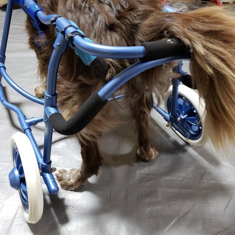 オーダーメイド中型犬用四輪車椅子 : 犬車椅子桜花 - 通販 - Yahoo