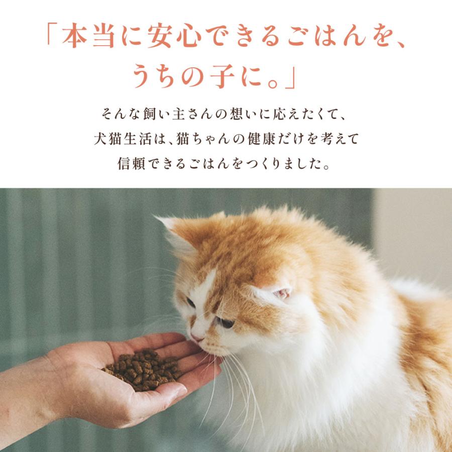 犬猫生活 キャットフード 無添加 ドライ 猫 オールステージ 生鶏肉味