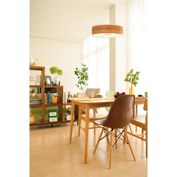 IRIS OHYAMA（アイリスオーヤマ） デザインペンダントライト メタル