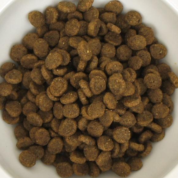 SELECT BALANCE ドッグフード セレクトバランス エイジングケア ラム