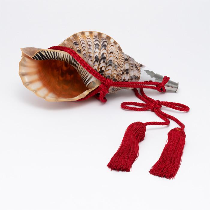 法螺貝 （ほら貝） 大型 No.16 : 宮忠 - 通販 - Yahoo!ショッピング