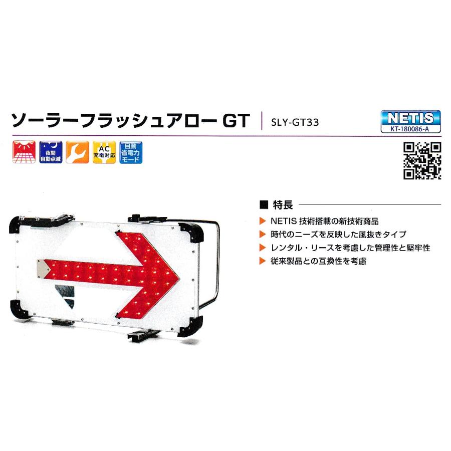 2個セット【新品未使用】ダンレックスソーラーフラッシュアローGT