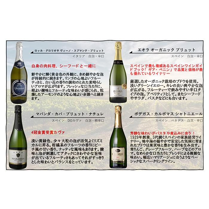 カヴァ＆オーガニック入り スパークリングワイン 12本 飲み比べセット
