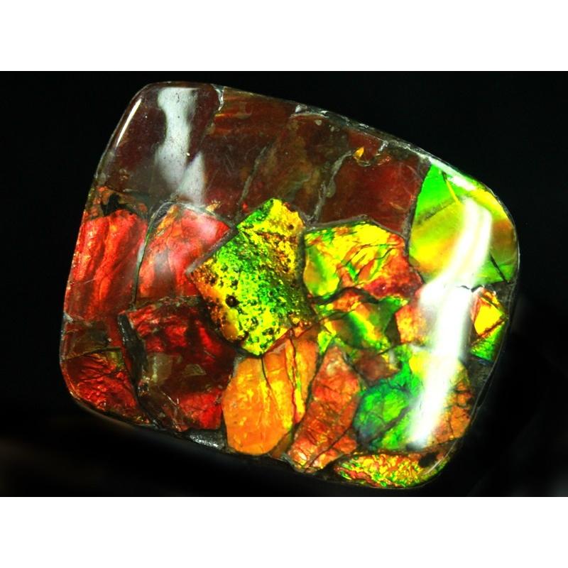 虹色に輝くマダガスカル産光るアンモナイト アンモナイト 販売