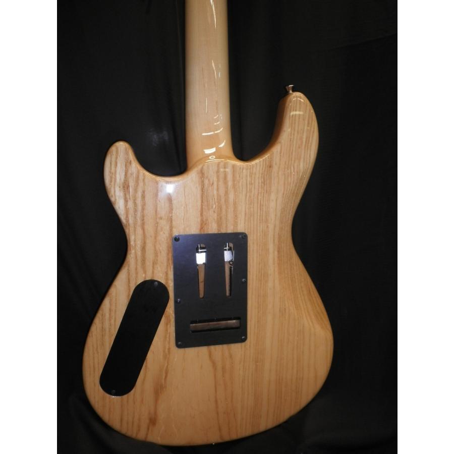 FERNANDES / APG-DLX JPC 2011 N【調整済】 : 伊藤楽器 松戸店 - 通販